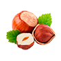 sostav