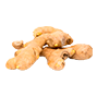 sostav