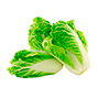 sostav