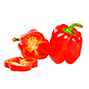 sostav