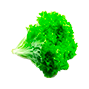 sostav