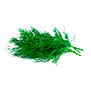 sostav