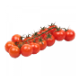 sostav