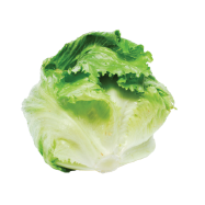 sostav
