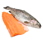 sostav