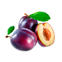 sostav